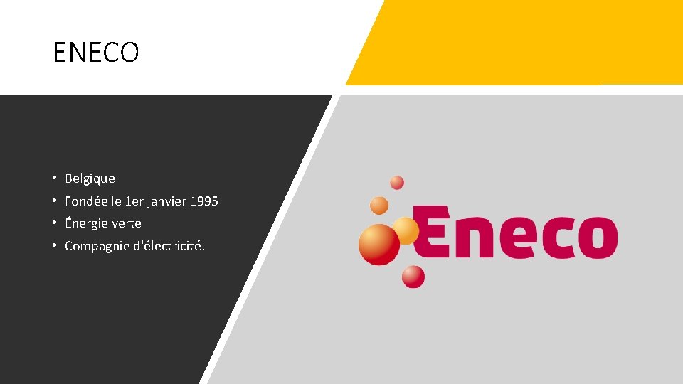 ENECO • Belgique • Fondée le 1 er janvier 1995 • Énergie verte •