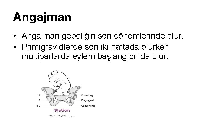 Angajman • Angajman gebeliğin son dönemlerinde olur. • Primigravidlerde son iki haftada olurken multiparlarda Angajman • Angajman gebeliğin son dönemlerinde olur. • Primigravidlerde son iki haftada olurken multiparlarda