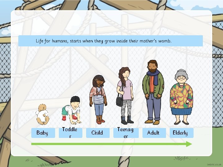 Human Life Including Animals Including Humans LO To describe how humans