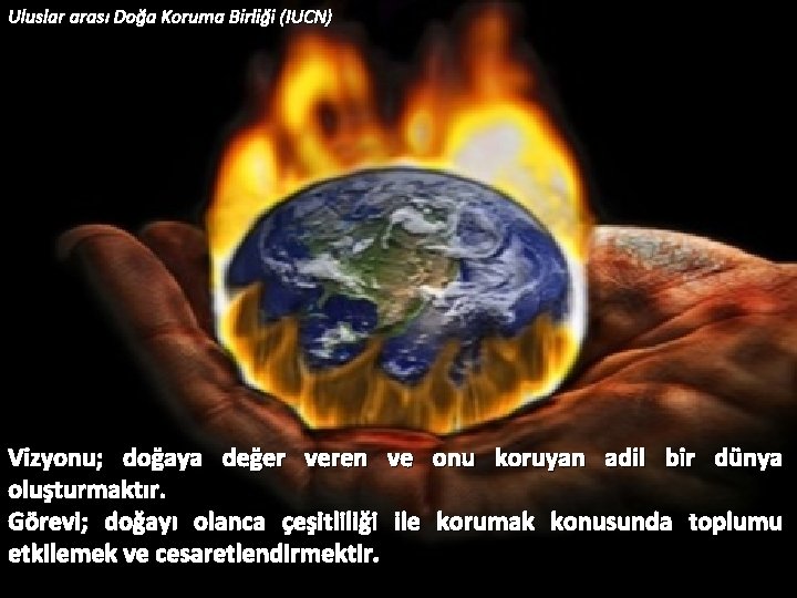 Uluslar arası Doğa Koruma Birliği (IUCN) Vizyonu; doğaya değer veren ve onu koruyan adil