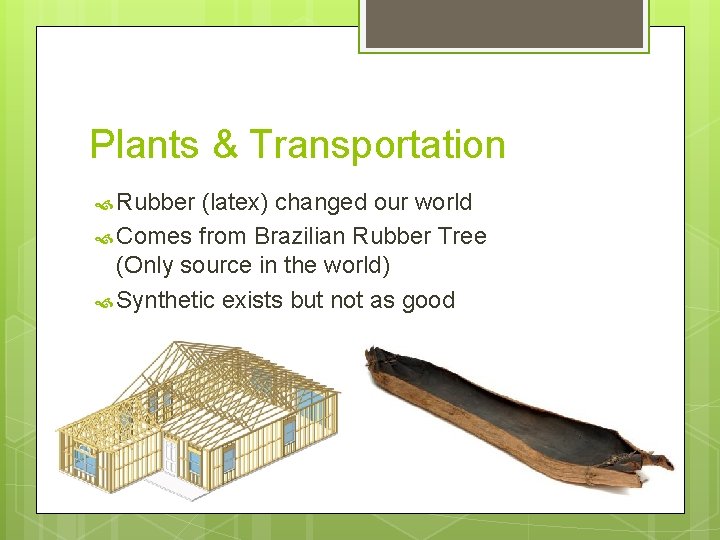 Plants & Transportation Rubber (latex) changed our world Comes from Brazilian Rubber Tree (Only