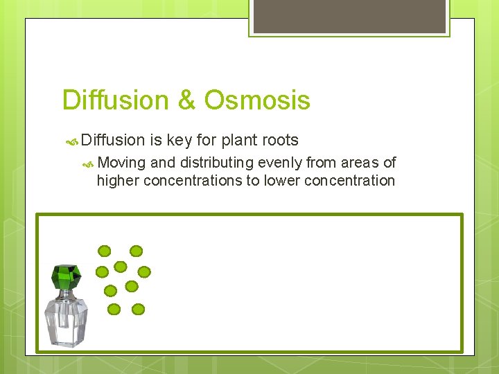 Diffusion & Osmosis Diffusion Moving is key for plant roots and distributing evenly from