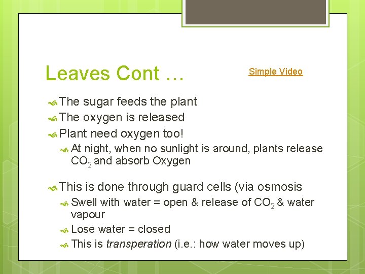 Leaves Cont … Simple Video The sugar feeds the plant The oxygen is released