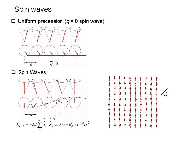 Spin waves q Uniform precession (q = 0 spin wave) q Spin Waves 