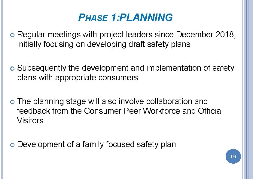 PHASE 1: PLANNING Regular meetings with project leaders since December 2018, initially focusing on