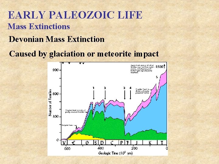 EARLY PALEOZOIC LIFE Mass Extinctions Devonian Mass Extinction Caused by glaciation or meteorite impact