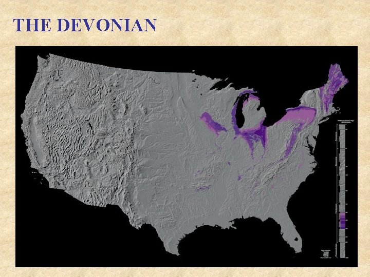 THE DEVONIAN 