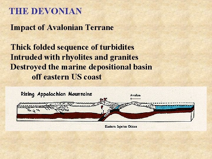 THE DEVONIAN Impact of Avalonian Terrane Thick folded sequence of turbidites Intruded with rhyolites