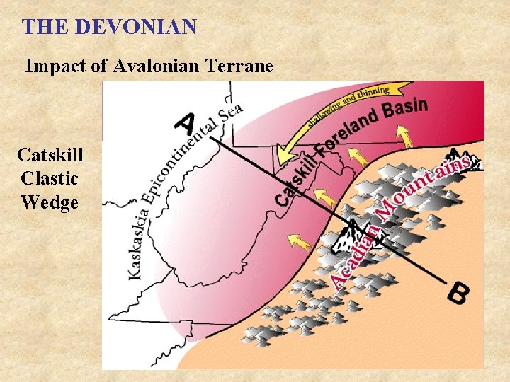 THE DEVONIAN Impact of Avalonian Terrane Catskill Clastic Wedge 