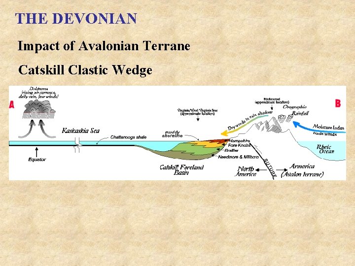 THE DEVONIAN Impact of Avalonian Terrane Catskill Clastic Wedge 