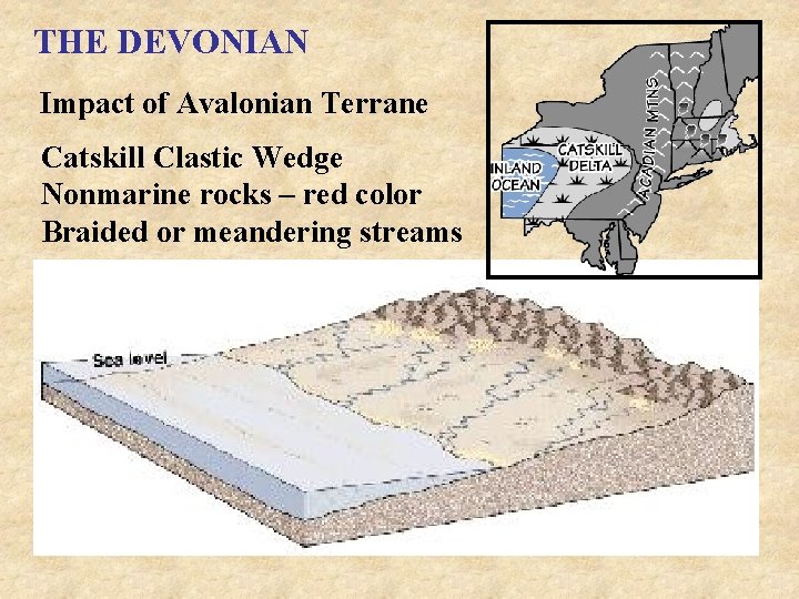 THE DEVONIAN Impact of Avalonian Terrane Catskill Clastic Wedge Nonmarine rocks – red color