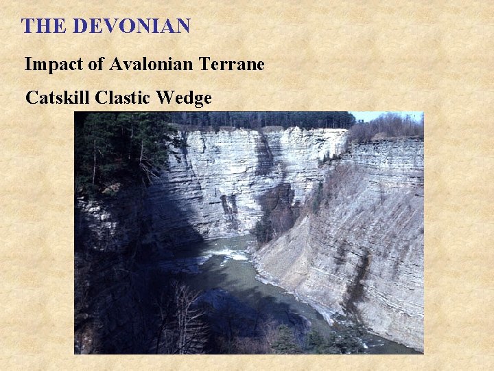 THE DEVONIAN Impact of Avalonian Terrane Catskill Clastic Wedge 