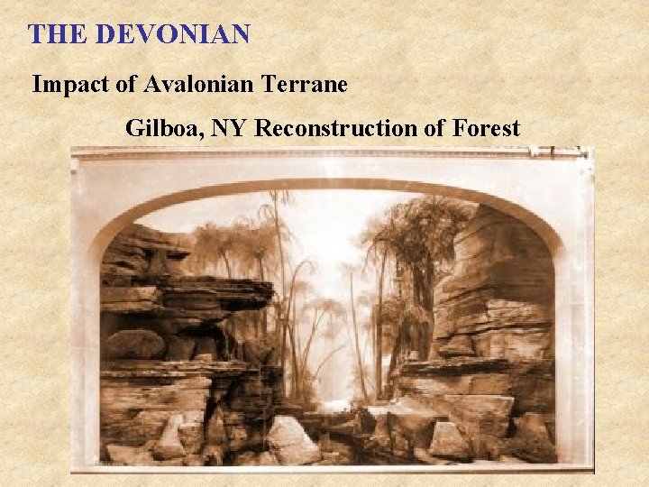 THE DEVONIAN Impact of Avalonian Terrane Gilboa, NY Reconstruction of Forest 