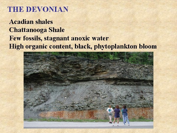 THE DEVONIAN Acadian shales Chattanooga Shale Few fossils, stagnant anoxic water High organic content,