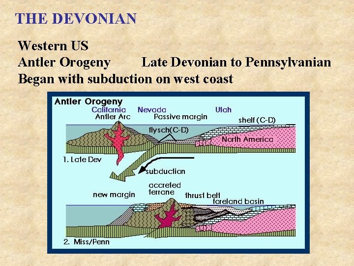 THE DEVONIAN Western US Antler Orogeny Late Devonian to Pennsylvanian Began with subduction on