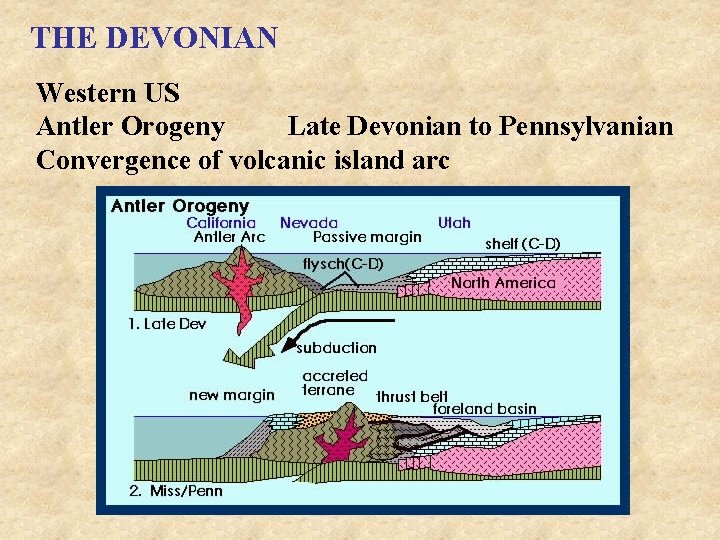 THE DEVONIAN Western US Antler Orogeny Late Devonian to Pennsylvanian Convergence of volcanic island