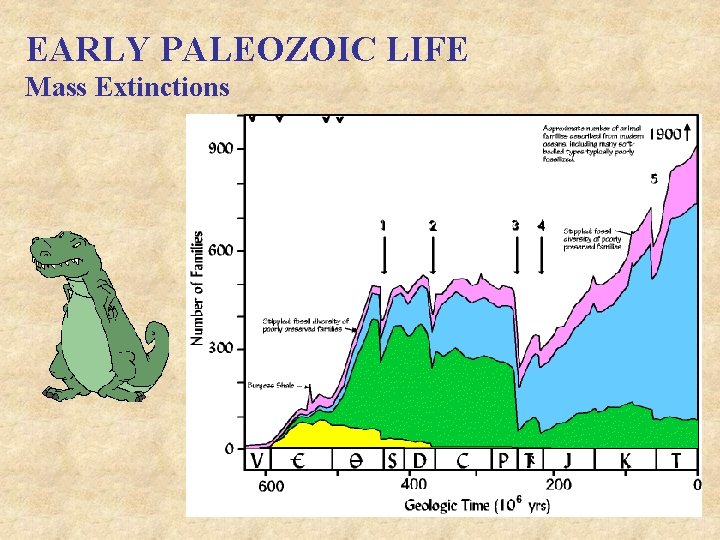 EARLY PALEOZOIC LIFE Mass Extinctions 