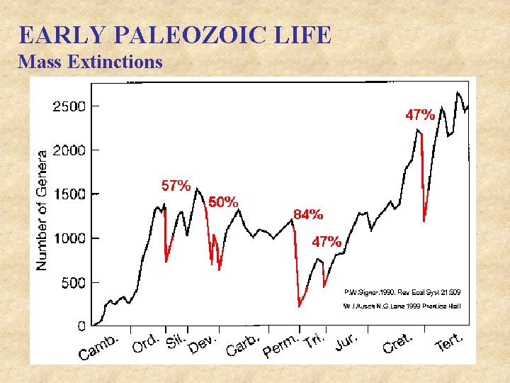 EARLY PALEOZOIC LIFE Mass Extinctions 