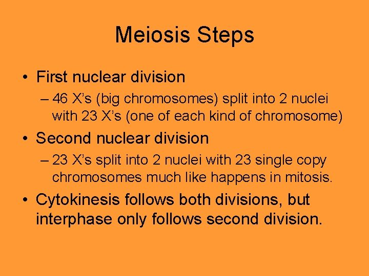 Meiosis Steps • First nuclear division – 46 X’s (big chromosomes) split into 2