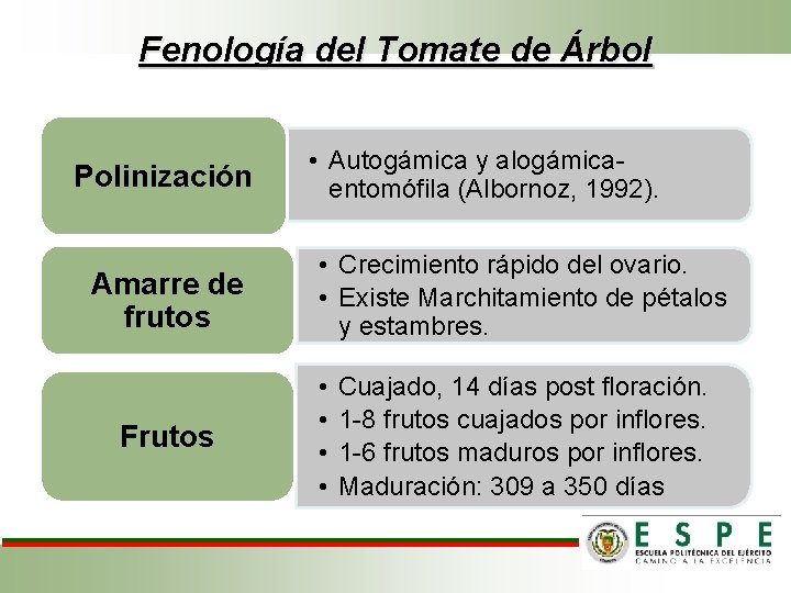 Fenología del Tomate de Árbol Polinización Amarre de frutos Frutos • Autogámica y alogámicaentomófila