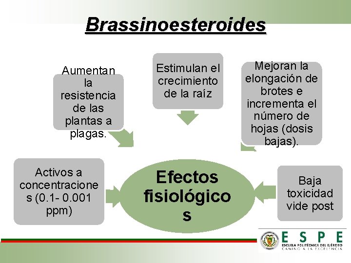 Brassinoesteroides Aumentan la resistencia de las plantas a plagas. Activos a concentracione s (0.