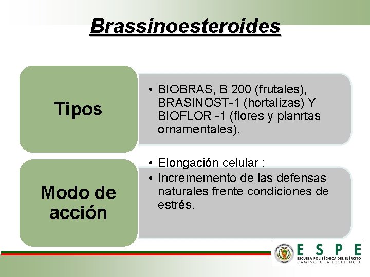 Brassinoesteroides Tipos Modo de acción • BIOBRAS, B 200 (frutales), BRASINOST-1 (hortalizas) Y BIOFLOR