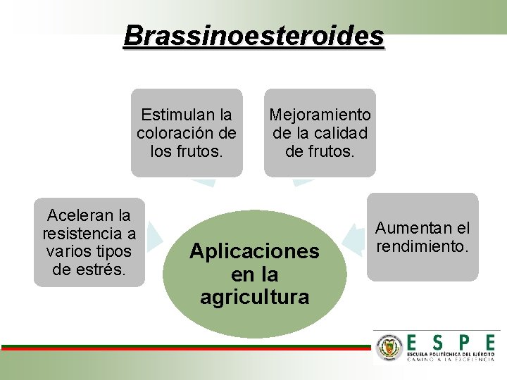 Brassinoesteroides Estimulan la coloración de los frutos. Aceleran la resistencia a varios tipos de