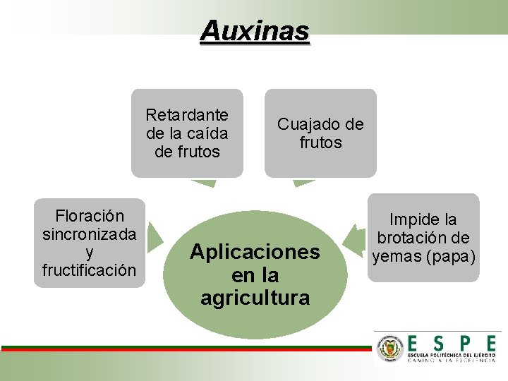 Auxinas Retardante de la caída de frutos Floración sincronizada y fructificación Cuajado de frutos