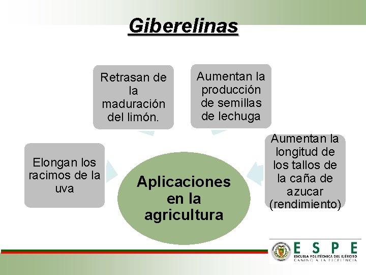 Giberelinas Retrasan de la maduración del limón. Elongan los racimos de la uva Aumentan