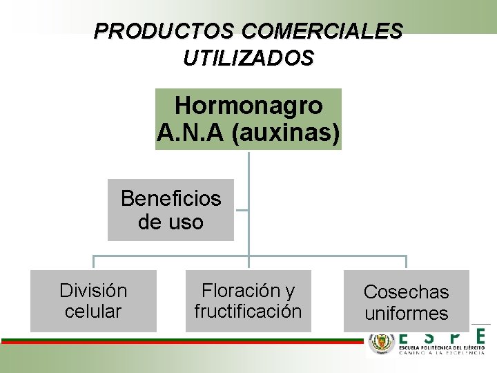 PRODUCTOS COMERCIALES UTILIZADOS Hormonagro A. N. A (auxinas) Beneficios de uso División celular Floración