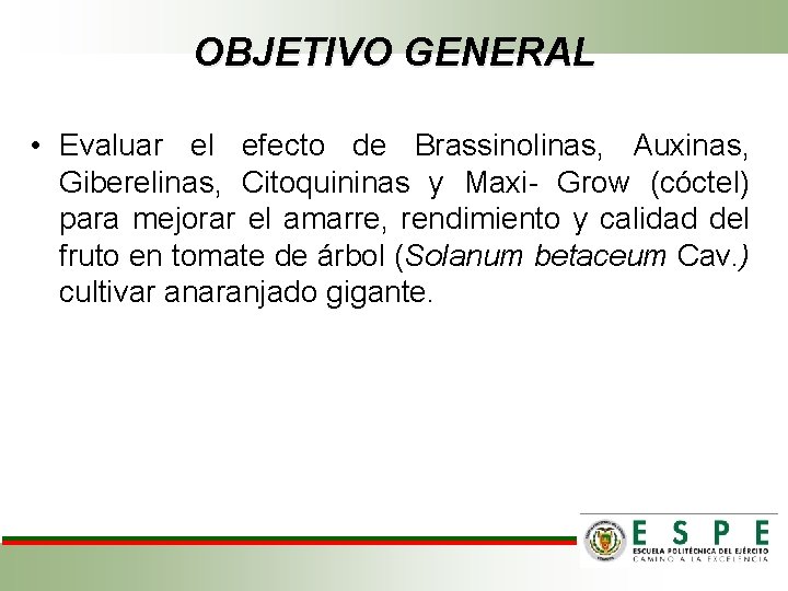 OBJETIVO GENERAL • Evaluar el efecto de Brassinolinas, Auxinas, Giberelinas, Citoquininas y Maxi- Grow