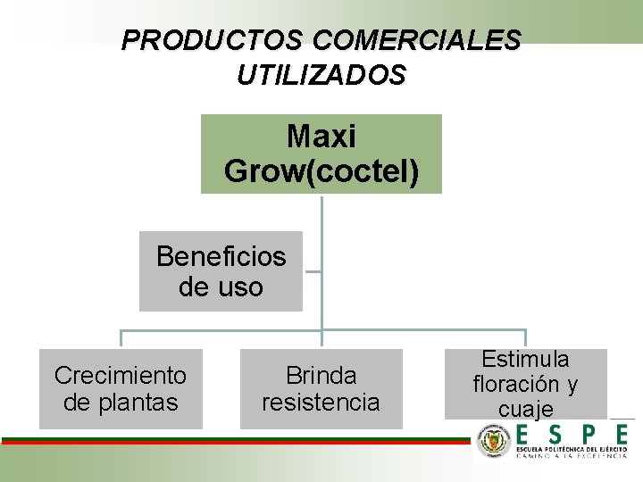 PRODUCTOS COMERCIALES UTILIZADOS Maxi Grow(coctel) Beneficios de uso Crecimiento de plantas Brinda resistencia Estimula