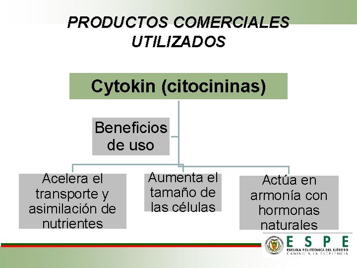 PRODUCTOS COMERCIALES UTILIZADOS Cytokin (citocininas) Beneficios de uso Acelera el transporte y asimilación de