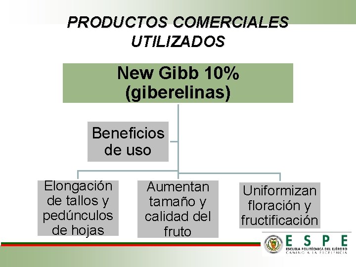 PRODUCTOS COMERCIALES UTILIZADOS New Gibb 10% (giberelinas) Beneficios de uso Elongación de tallos y