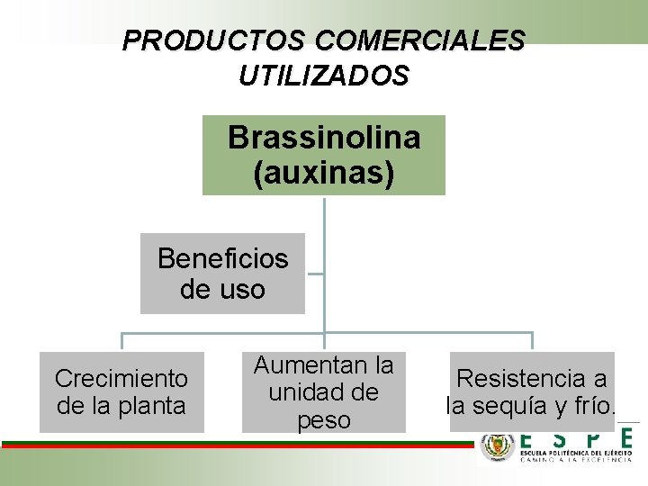 PRODUCTOS COMERCIALES UTILIZADOS Brassinolina (auxinas) Beneficios de uso Crecimiento de la planta Aumentan la