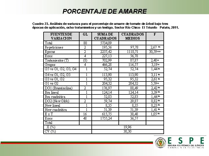 PORCENTAJE DE AMARRE Cuadro 23. Análisis de varianza para el porcentaje de amarre de