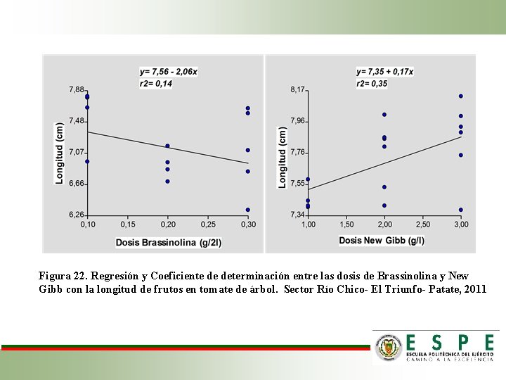 Figura 22. Regresión y Coeficiente de determinación entre las dosis de Brassinolina y New