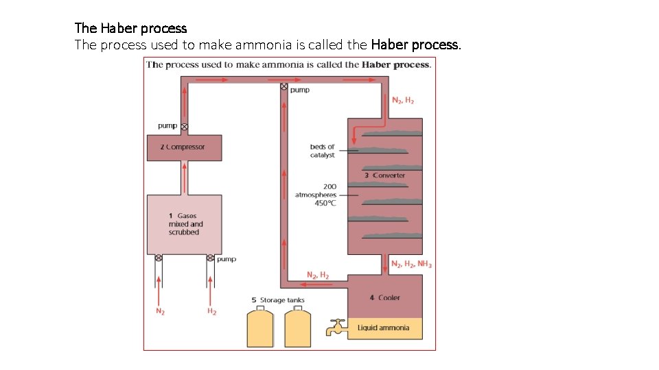 The Haber process The process used to make ammonia is called the Haber process.