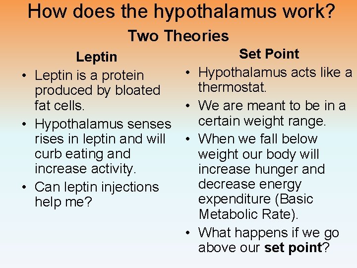 How does the hypothalamus work? Two Theories Set Point Leptin • Hypothalamus acts like