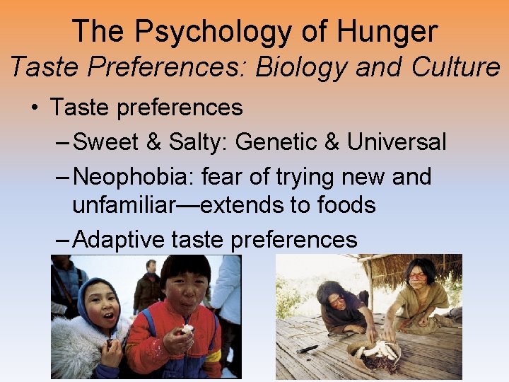 The Psychology of Hunger Taste Preferences: Biology and Culture • Taste preferences – Sweet