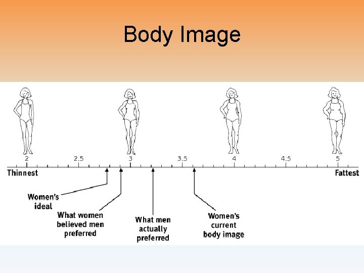 Body Image 