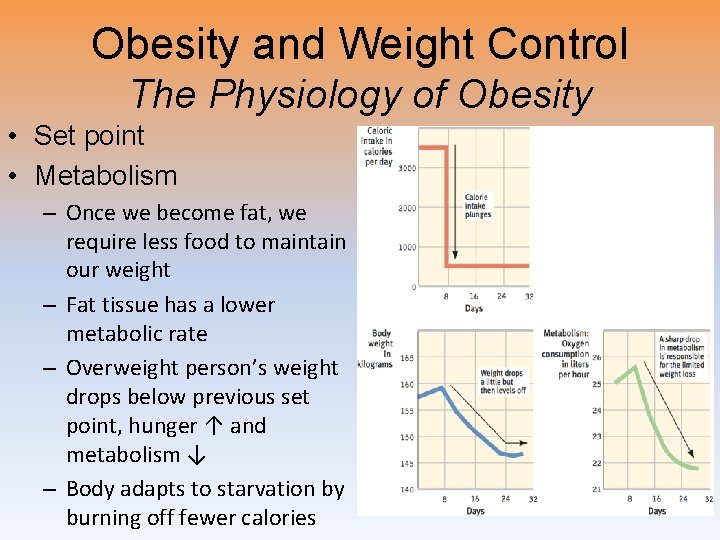 Obesity and Weight Control The Physiology of Obesity • Set point • Metabolism –