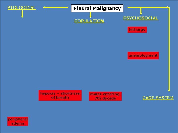 BIOLOGICAL Pleural Malignancy POPULATION PSYCHOSOCIAL lethargy unemployment hypoxia + shortness of breath peripheral edema BIOLOGICAL Pleural Malignancy POPULATION PSYCHOSOCIAL lethargy unemployment hypoxia + shortness of breath peripheral edema