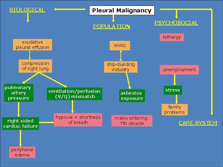 BIOLOGICAL Pleural Malignancy POPULATION lethargy exudative pleural effusion WWII compression of right lung pulmonary BIOLOGICAL Pleural Malignancy POPULATION lethargy exudative pleural effusion WWII compression of right lung pulmonary