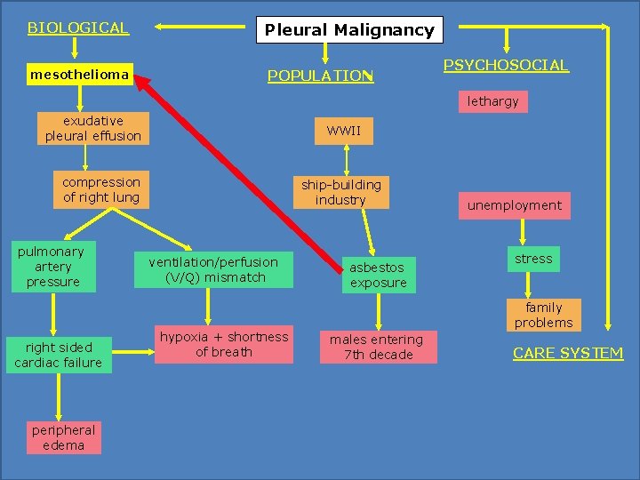 BIOLOGICAL Pleural Malignancy mesothelioma POPULATION PSYCHOSOCIAL lethargy exudative pleural effusion WWII compression of right BIOLOGICAL Pleural Malignancy mesothelioma POPULATION PSYCHOSOCIAL lethargy exudative pleural effusion WWII compression of right
