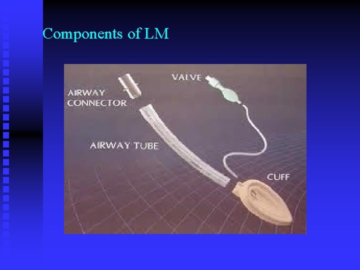 Components of LM 