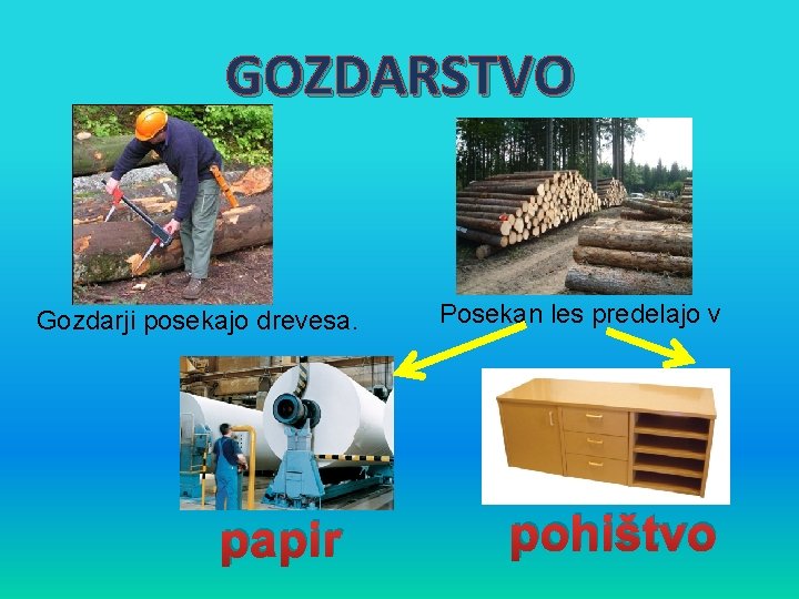 GOZDARSTVO Gozdarji posekajo drevesa. papir Posekan les predelajo v pohištvo 