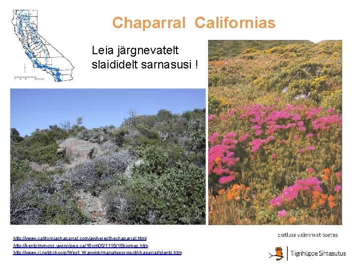 Chaparral Californias Leia järgnevatelt slaididelt sarnasusi ! http: //www. californiachaparral. com/awheresthechaparral. html http: //kentsimmons.