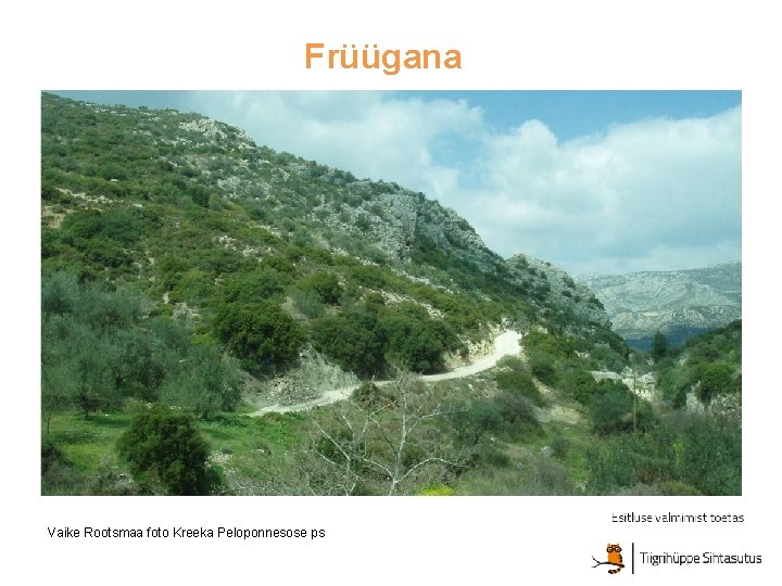 Früügana Vaike Rootsmaa foto Kreeka Peloponnesose ps 