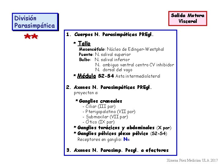 Salida Motora Visceral División Parasimpática ** 1. Cuerpos N. Parasimpáticas PREgl. * Tallo Mesencéfalo: